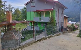 Vila Cri Cri